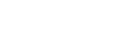 PROFESSIONAL CONCIERGE SERVICE